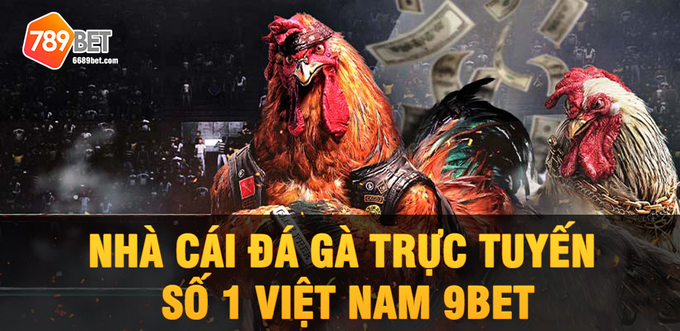 Nhà cái đá gà trực tuyến số 1 Việt Nam